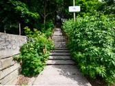 Parduodamas jaukus 2 kambarių butas Pelėdų - nuotraukos Nr. 33