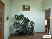Parduodamas jaukus ir erdvus namas Vilkiškių - nuotraukos Nr. 25