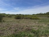 Parduodamas 1,37 ha ploto puikus įvairioms
