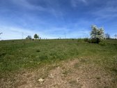 Parduodamas net 5,5 ha ploto žemės ūkio - nuotraukos Nr. 4