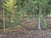 Parduodamas A-formos poilsio namas (60.96 m2) - nuotraukos Nr. 11