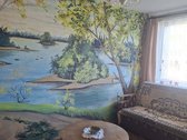 Privalumai: patogi miesto vieta, šalia Maxima - nuotraukos Nr. 3