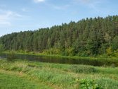 Išskirtinis Gyvenamasis Namas Neries - nuotraukos Nr. 17