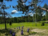Parduodami 6 išskirtiniai namų valdos sklypai - nuotraukos Nr. 22