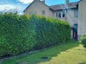 Parduodamas erdvus 3 kambarių butas per du - nuotraukos Nr. 11