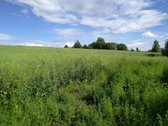 15852m² - nuotraukos Nr. 3