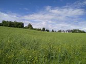 15852m² - nuotraukos Nr. 7