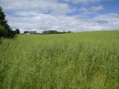 15852m² - nuotraukos Nr. 11