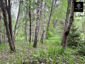 Parduodamas atidalintas ir suformuotas 0,50 - nuotraukos Nr. 18