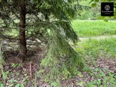 Parduodamas atidalintas ir suformuotas 0,50 - nuotraukos Nr. 19