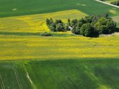 Parduodamas 7,83 ha Sklypas Su Autentiška - nuotraukos Nr. 3