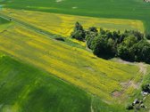 Parduodamas 7,83 ha Sklypas Su Autentiška - nuotraukos Nr. 4