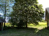 Parduodamas 7,83 ha Sklypas Su Autentiška - nuotraukos Nr. 14