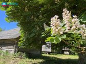 Parduodamas 7,83 ha Sklypas Su Autentiška - nuotraukos Nr. 27