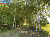 Parduodamas 7,83 ha Sklypas Su Autentiška - nuotraukos Nr. 7