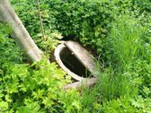 Gyvenamasis namas su sandėliu ir žemės sklypu - nuotraukos Nr. 16