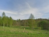 Parduodamas žemės ūkio paskirties sklypas - nuotraukos Nr. 5
