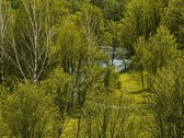 Stilingi, kokybiški ir jaukūs penthouse - nuotraukos Nr. 2