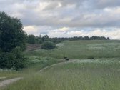 29.98 ha namų valdos žemės sklypas, 37 km iki - nuotraukos Nr. 3