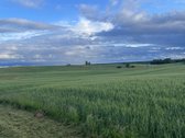 29.98 ha namų valdos žemės sklypas, 37 km iki - nuotraukos Nr. 4