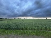 Kauno r. sav., Užupių k. - nuotraukos Nr. 3
