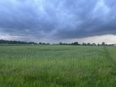 Kauno r. sav., Užupių k. - nuotraukos Nr. 4