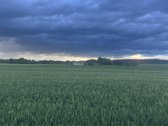 Kauno r. sav., Užupių k. - nuotraukos Nr. 6