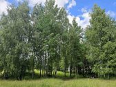 2 kambarių butas su terasa ir balkonu (Be - nuotraukos Nr. 32