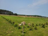Kurk savo namus gamtos ir miesto balanse – - nuotraukos Nr. 10