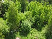 Vilniaus rajone parduodamas 5,12 a sklypas su