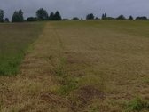 Parduodama sodyba Naudvario km. 2km nuo - nuotraukos Nr. 3