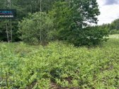 Parduodami Du Greta Esantys Sklypai Prie - nuotraukos Nr. 4