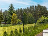  – Nt ekspertai be procentų - nuotraukos Nr. 22
