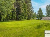  – Nt ekspertai be procentų - nuotraukos Nr. 29