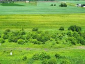 Parduodamas 12 a. sklypas, Mitkūnų k., Kauno r. - nuotraukos Nr. 6