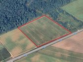 Parduodami trys žemės ūkio paskirties sklypai - nuotraukos Nr. 11