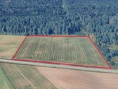 Parduodami trys žemės ūkio paskirties sklypai - nuotraukos Nr. 13