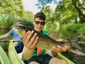 Parduodami Sklypai Viename Mažiausiai Žmogaus - nuotraukos Nr. 9
