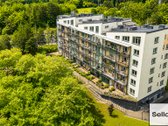  – Nt ekspertai be procentų - nuotraukos Nr. 2