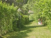 Ramybės oazė vos keliolika kilometrų nuo - nuotraukos Nr. 4
