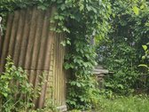 Ramybės oazė vos keliolika kilometrų nuo - nuotraukos Nr. 19