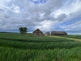 Parduodama Sodyba Su 40 Arų Sklypu Kėdainių - nuotraukos Nr. 13