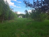 Labai pigiai parduodamas žemės ūkio - nuotraukos Nr. 2