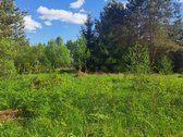Parduodamas žemės ūkio paskirties sklypas - nuotraukos Nr. 8