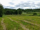 Parduodamas Dovilų miestelyje 19 arų namų - nuotraukos Nr. 8