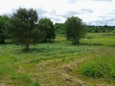 Parduodamas Dovilų miestelyje 19 arų namų - nuotraukos Nr. 9