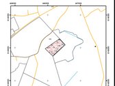 Brandus miškas Raseinių r. sav., Pagojukų sen - nuotraukos Nr. 2