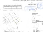 Brandus miškas Raseinių r. sav., Pagojukų sen - nuotraukos Nr. 7