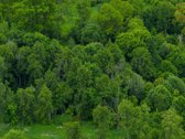 Parduodamas 0,9793 Ha Žemės Ūkio Paskirties - nuotraukos Nr. 5