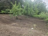 Parduodamas 46,1 aro sklypas vaizdingoje ir - nuotraukos Nr. 5
